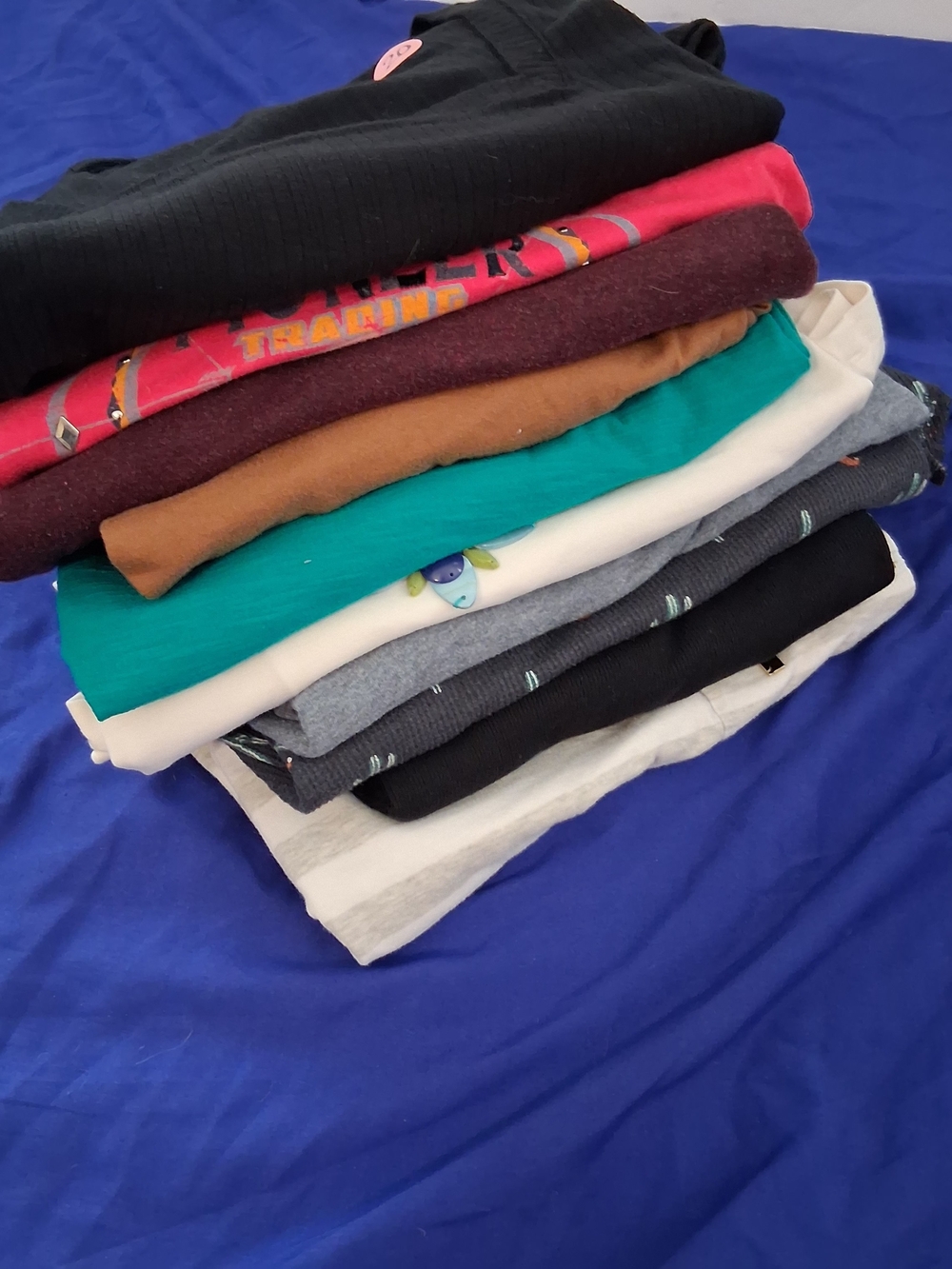 Assortment Of 10 Women's Long Sleeve Shirt Tee Tops Size Fit Large Mix BRANDS